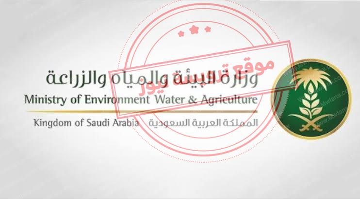 نتائج القبول إلكترونيًا في وظائف وزارة البيئة والزراعة والمياه 