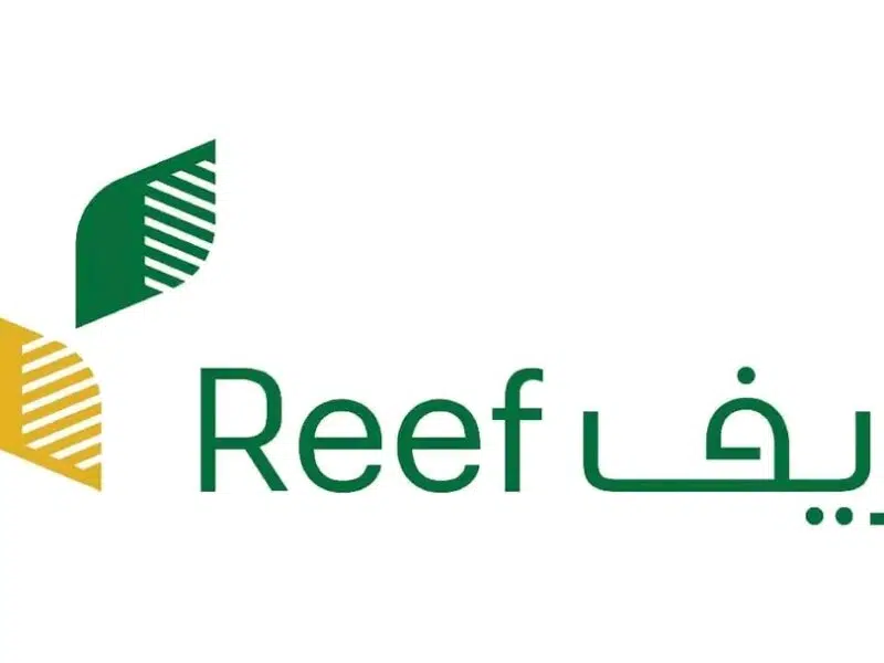 كيف اسجل فى دعم ريف لربات البيوت ؟