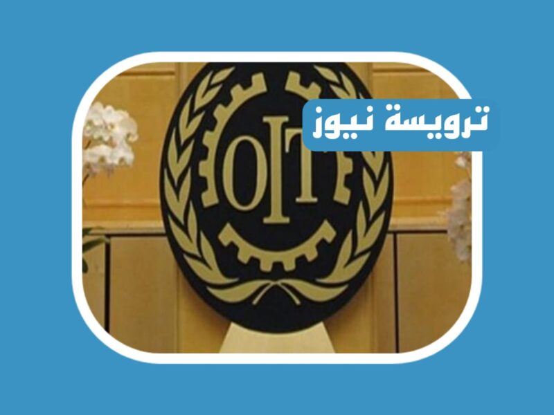 وزارة التربية الكويتية أعلنت عن إنهاء خدمات المدرسين المصريين بالكويت